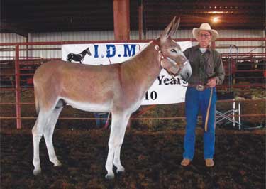 Rock Point Cowboy